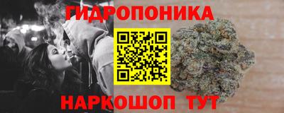прущие грибы Краснодар