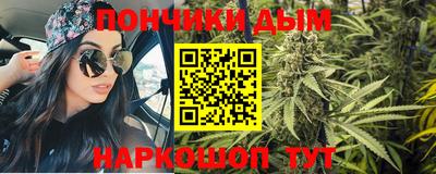 прущие грибы Краснодар