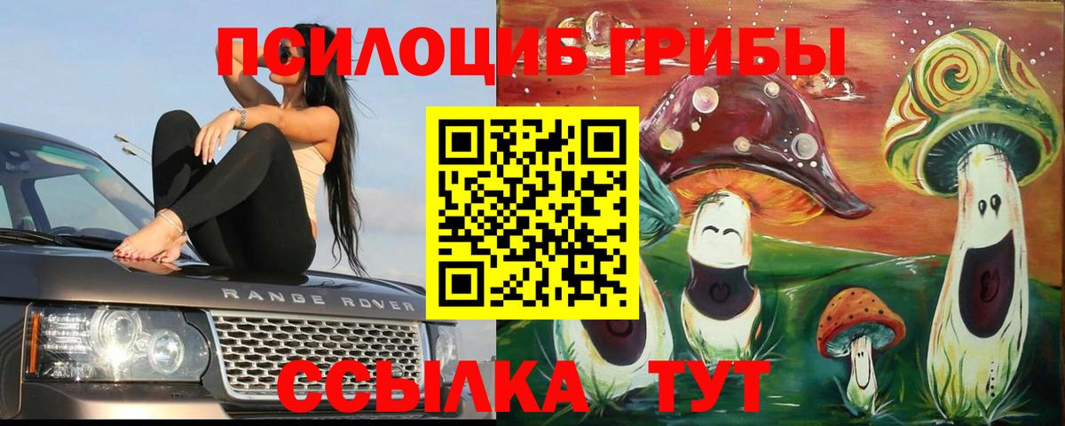 Галлюциногенные грибы мицелий Тольятти